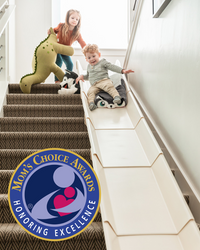 Thumbnail for The Original StairSlide